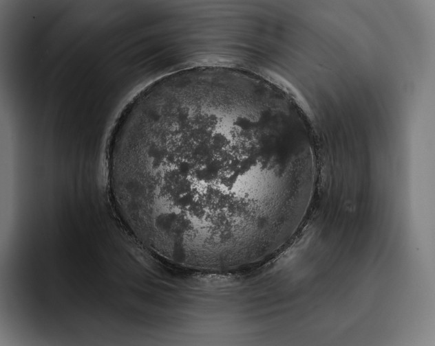 X0000093131027200710101055