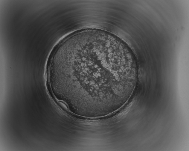 X0000093131028200710101055