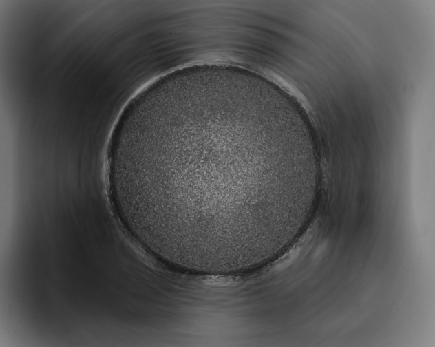 X0000093131029200710101055