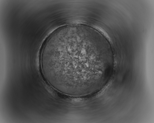 X0000093131031200710101055