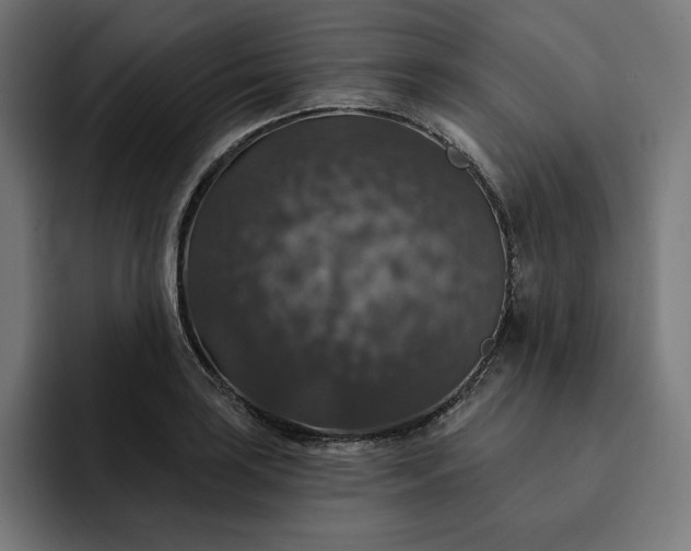 X0000093131035200710101055