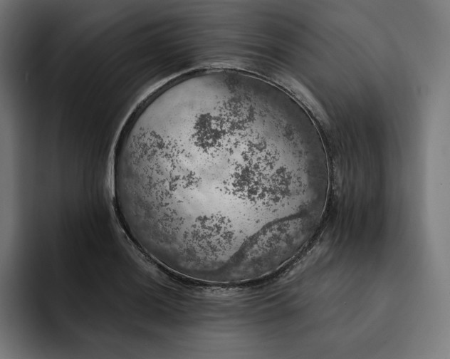 X0000093131036200710101055