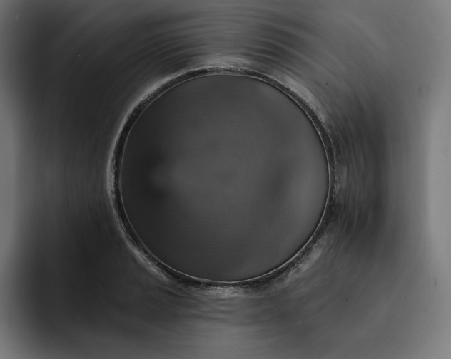 X0000093131037200710101055