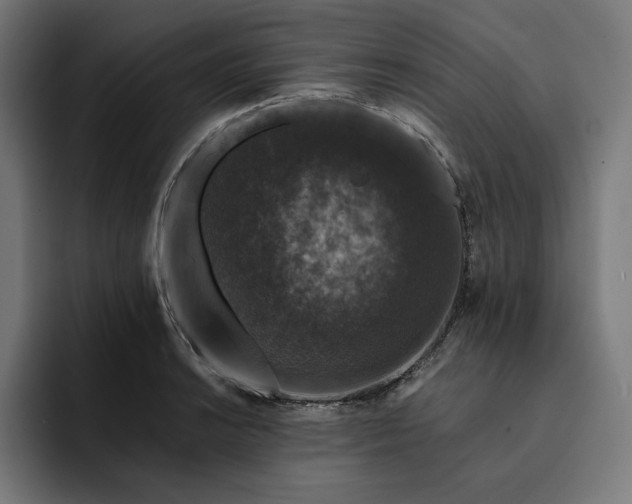 X0000093131038200710101055