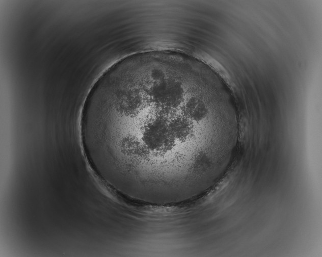 X0000093131039200710101055