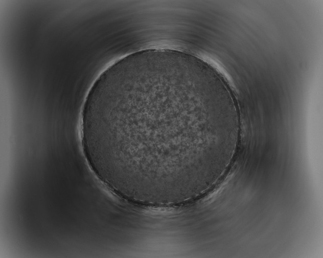 X0000093131040200710101055