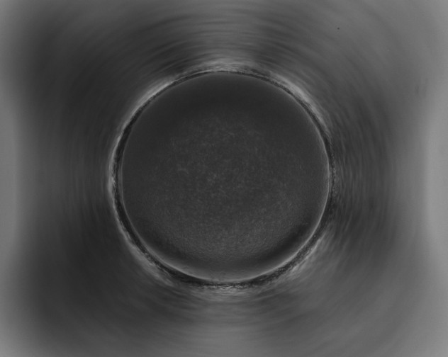 X0000093131042200710101055