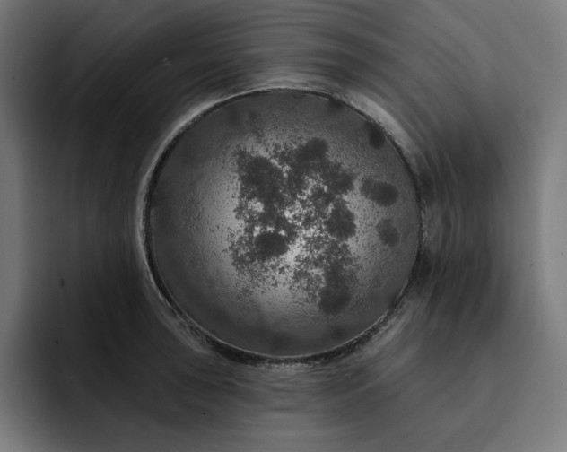 X0000093131043200710101055