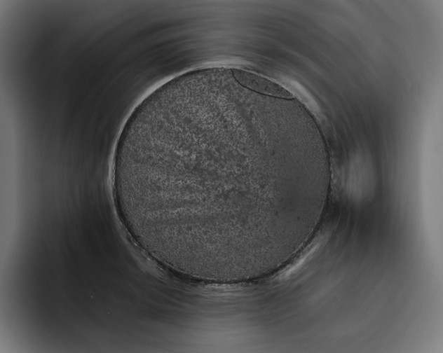 X0000093131044200710101055