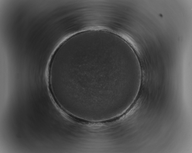 X0000093131046200710101055