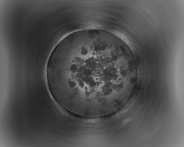 X0000093131047200710101055