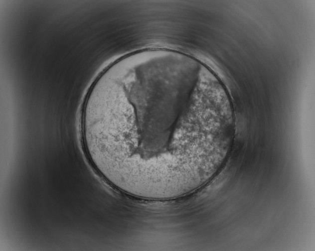 X0000093131048200710101055