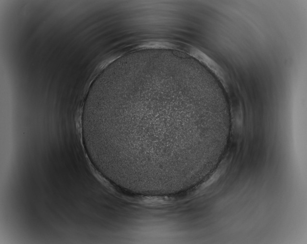 X0000093131049200710101055