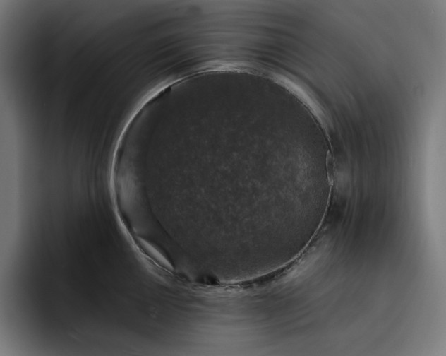 X0000093131050200710101055