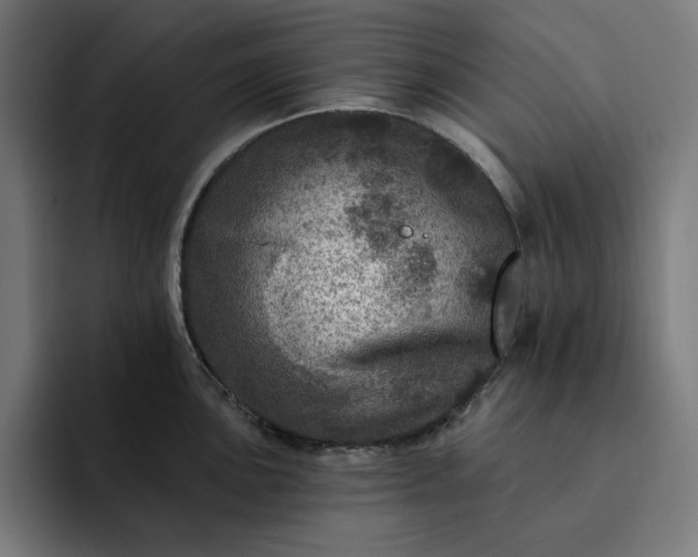 X0000093131051200710101055