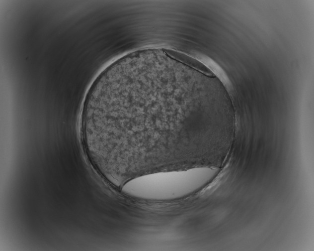 X0000093131052200710101055