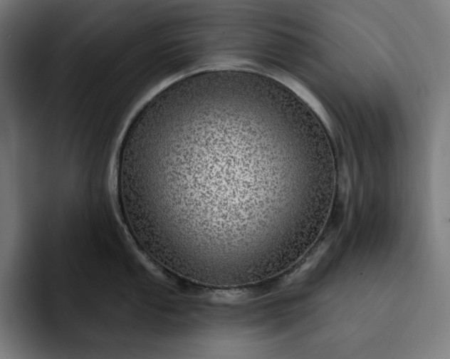 X0000093131053200710101055