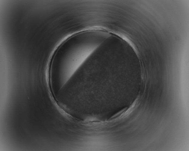 X0000093131054200710101055