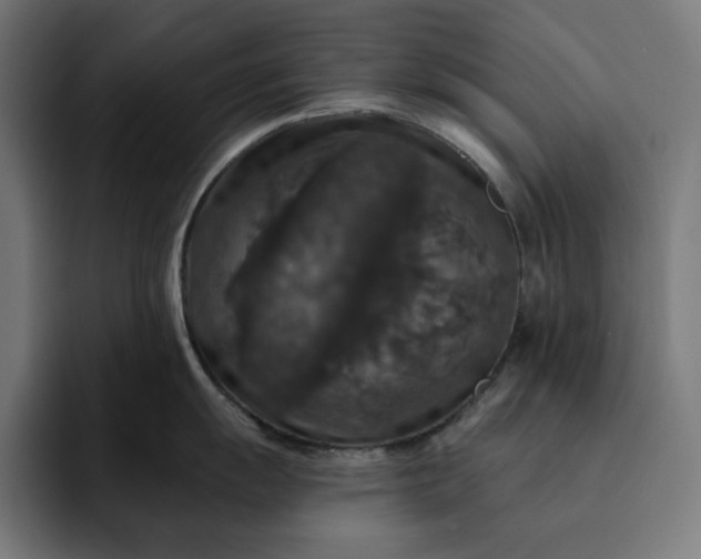 X0000093131055200710101055