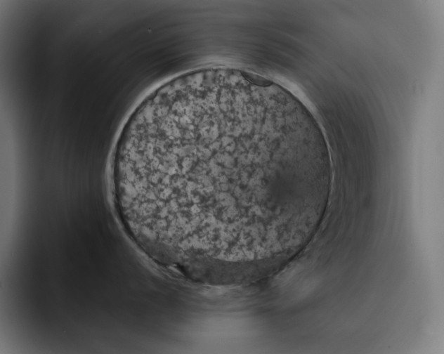 X0000093131056200710101055