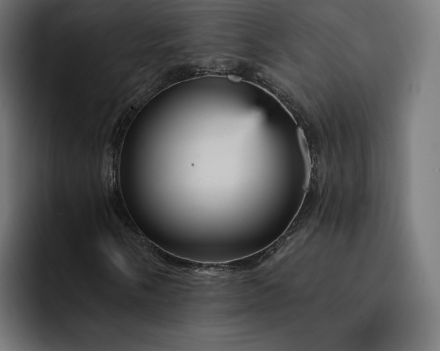 X0000093131058200710101055