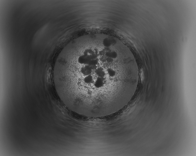 X0000093131059200710101055