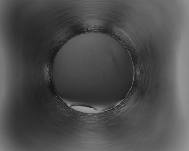 X0000093131060200710101055