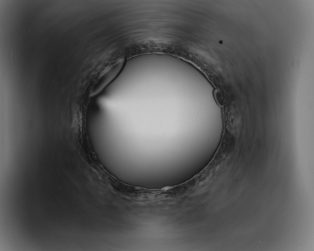 X0000093131061200710101055