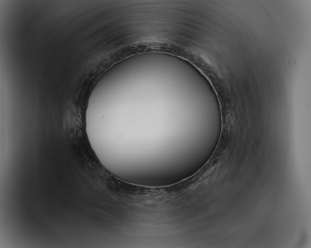 X0000093131062200710101055