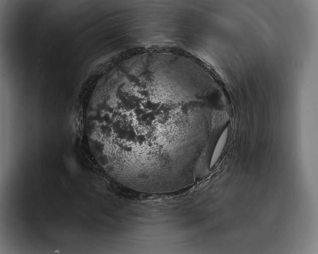 X0000093131063200710101055