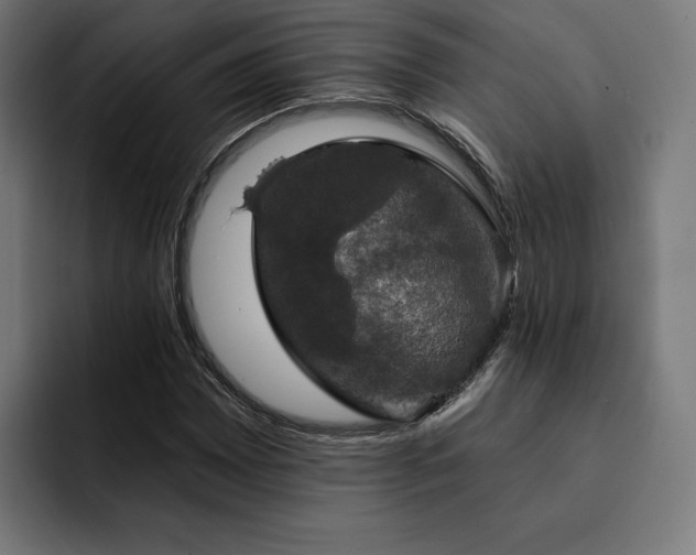 X0000093131065200710101055