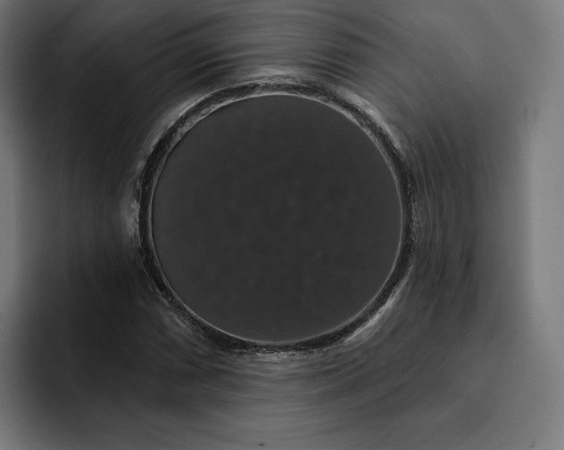 X0000093131066200710101055