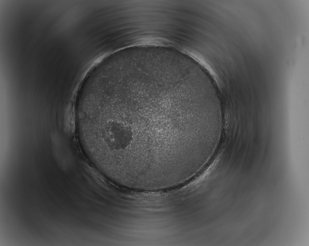 X0000093131067200710101055