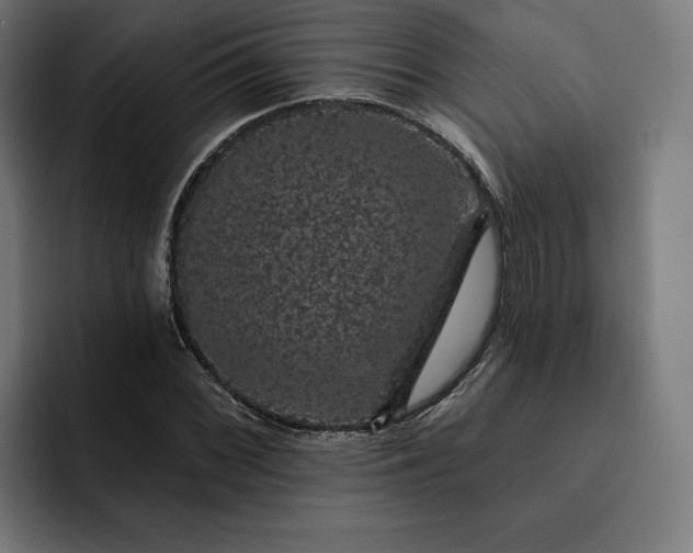 X0000093131068200710101055