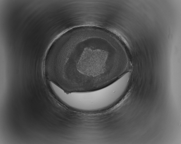 X0000093131069200710101054