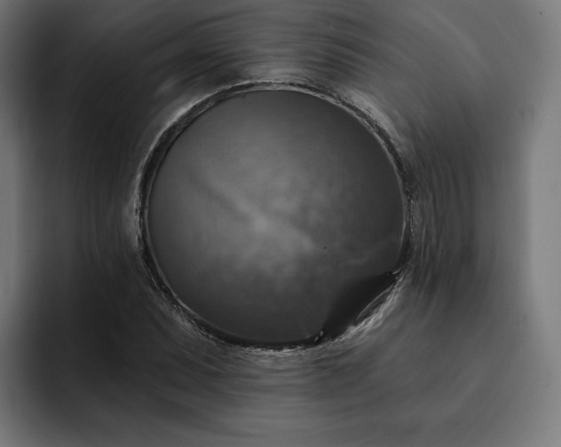 X0000093131071200710101054