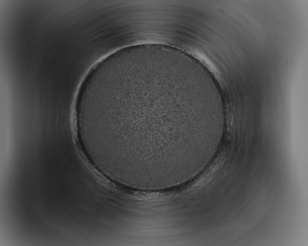 X0000093131072200710101054