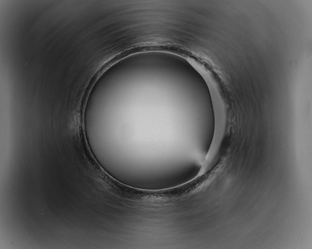 X0000093131073200710101054