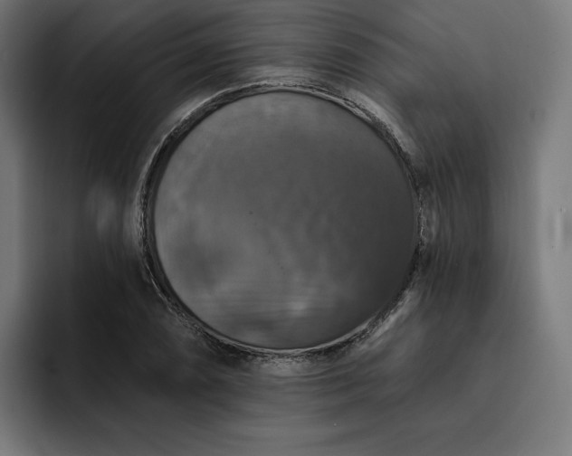 X0000093131074200710101054