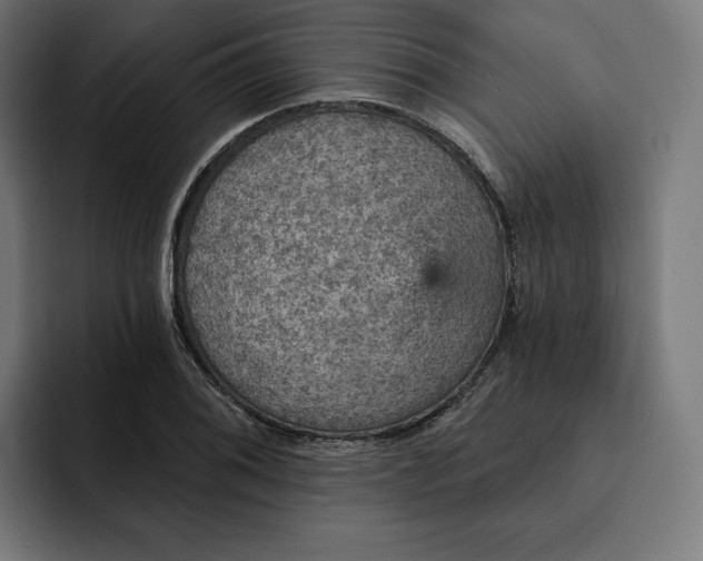 X0000093131076200710101054