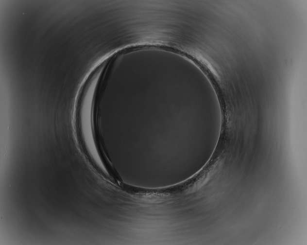 X0000093131077200710101054