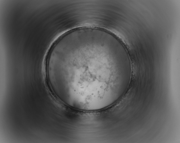 X0000093131078200710101054