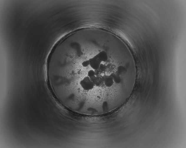 X0000093131079200710101054