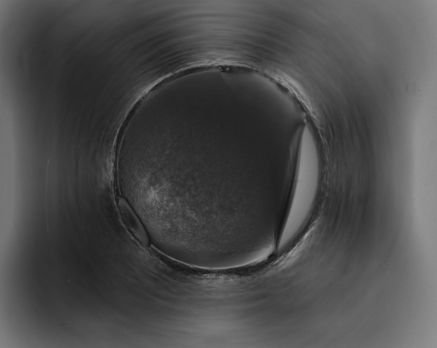 X0000093131081200710101054