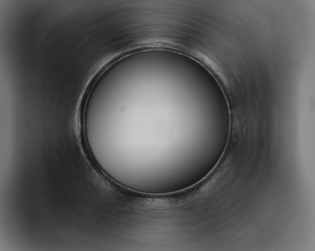 X0000093131082200710101054