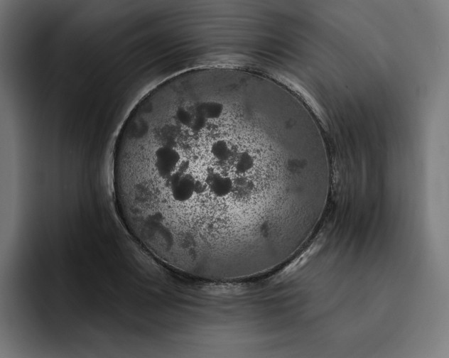 X0000093131083200710101054