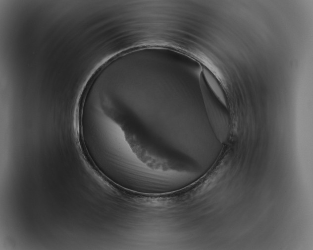 X0000093131084200710101054