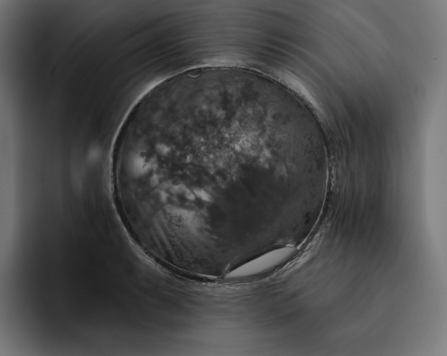 X0000093131087200710101054