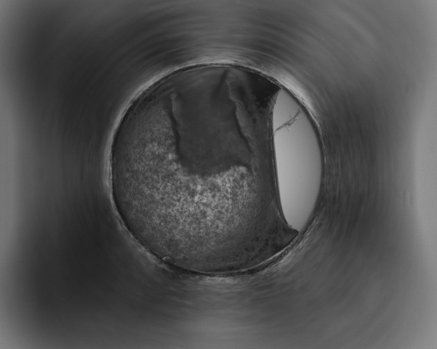 X0000093131088200710101054