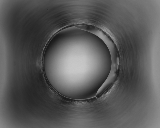 X0000093131089200710101054